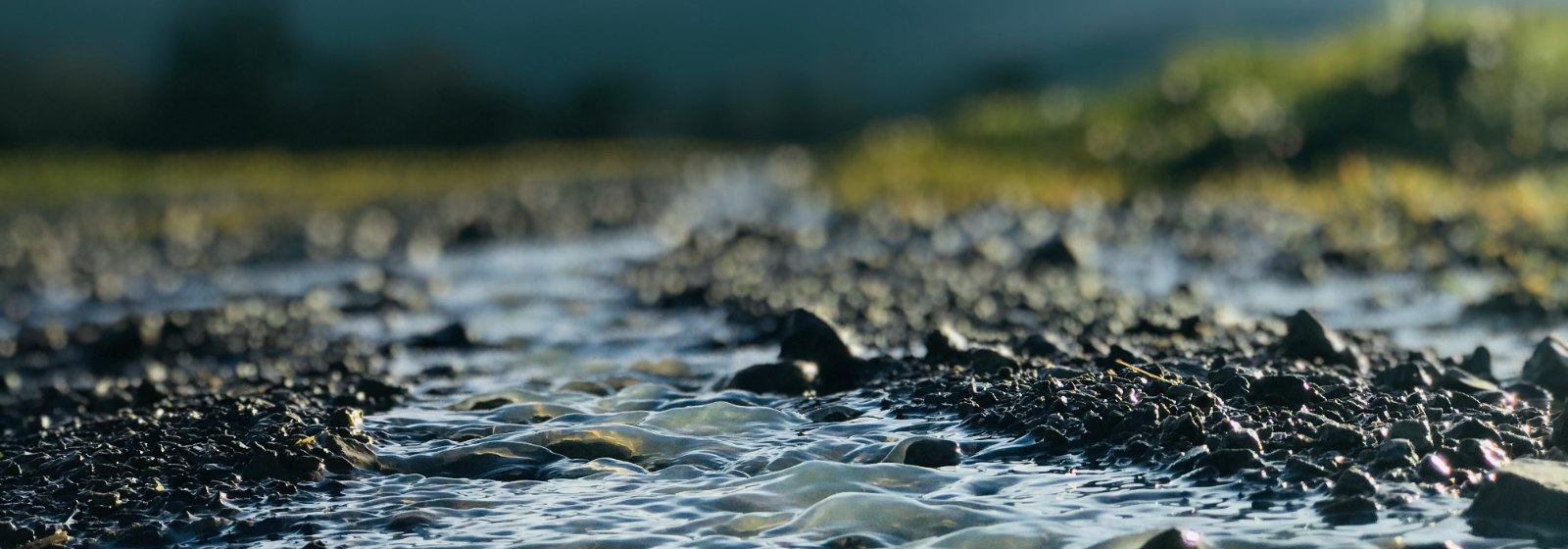 The River Run