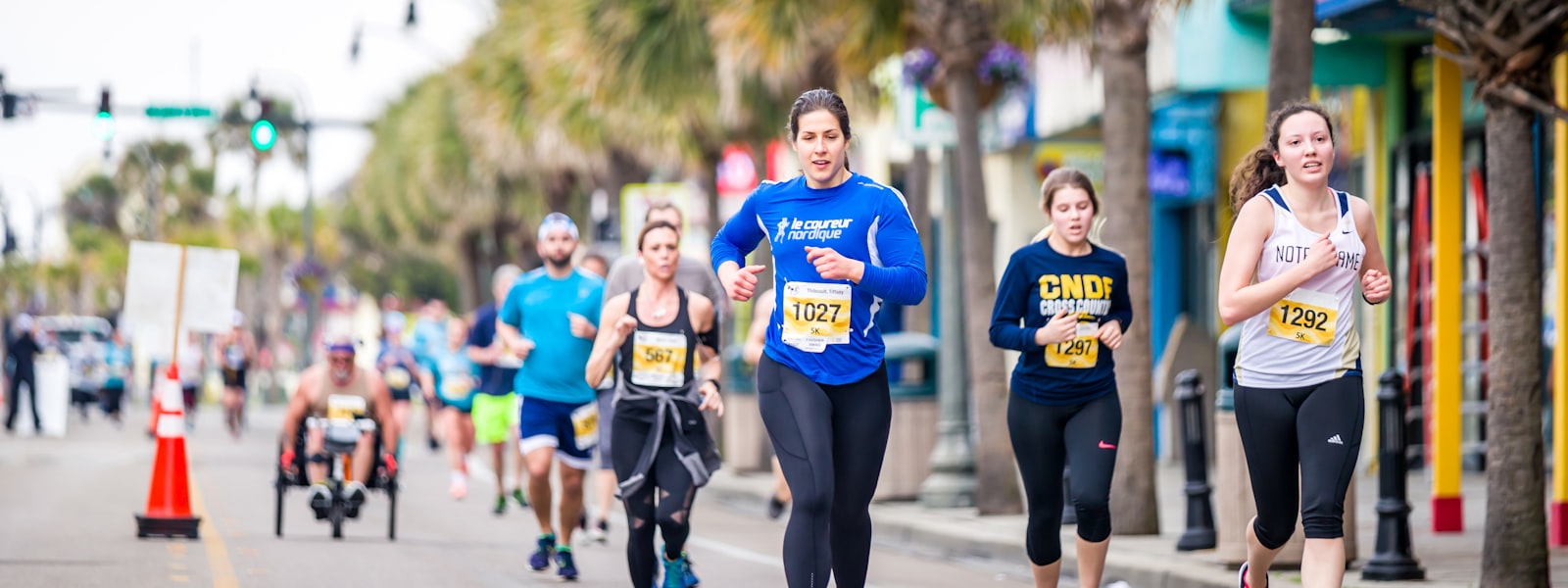 Howletts Cheetah 5k